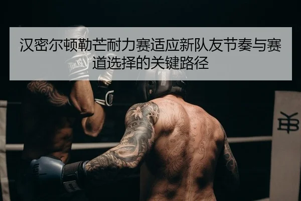 汉密尔顿勒芒耐力赛适应新队友节奏与赛道选择的关键路径
